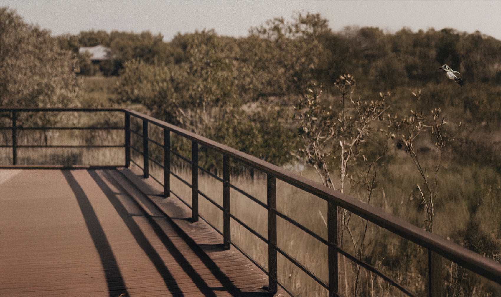 Coast Club Brand Story